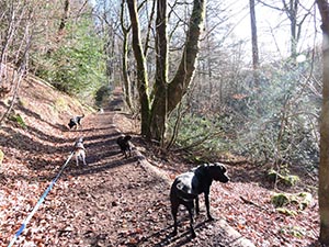 January 2017 Photo 9